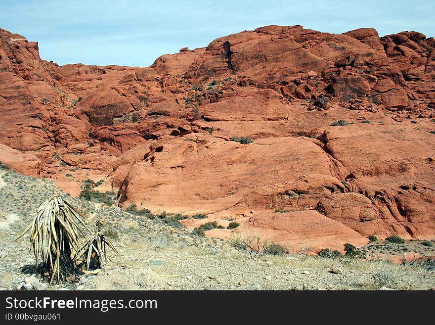 A colorful, useful desert scene.