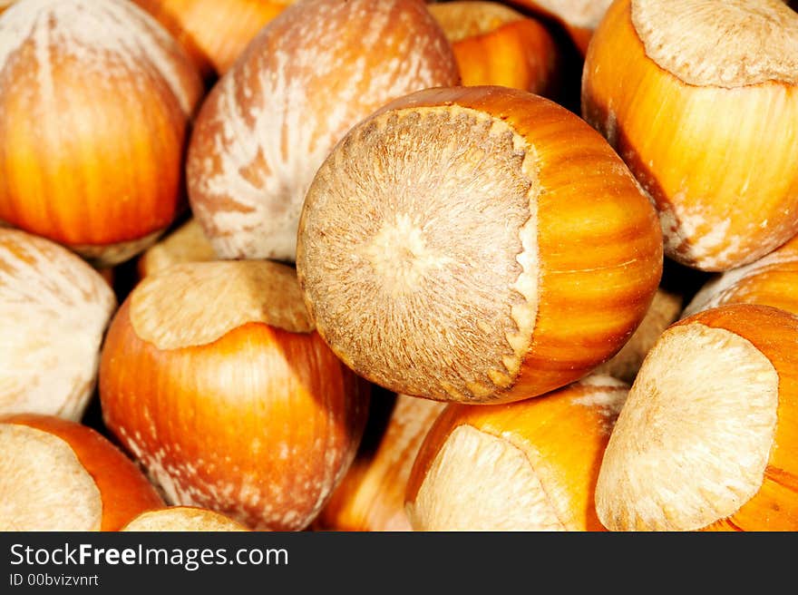 Hazel nuts. Close up. Macro