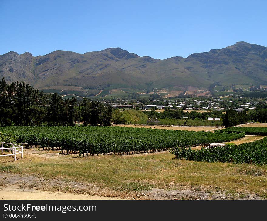 Farm Landscape