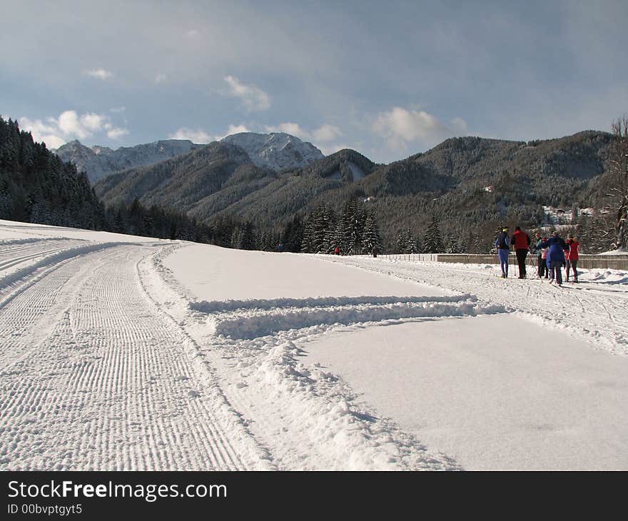 Beautiful winter landscape showing a cross-country ski run