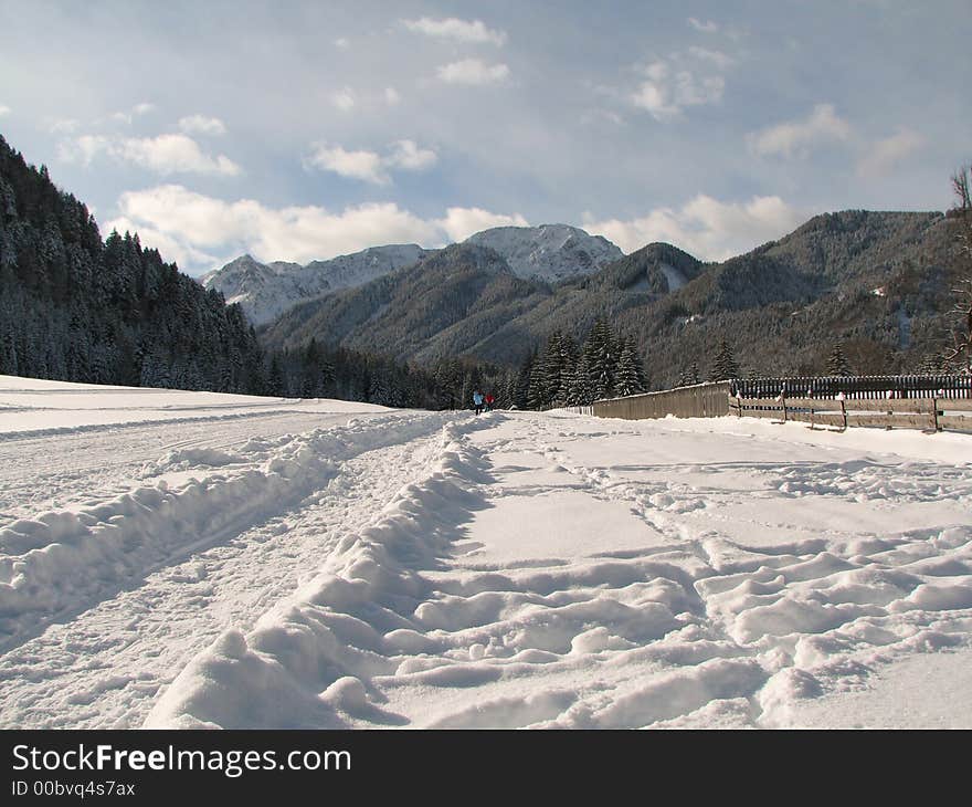 Beautiful winter landscape showing a cross-country ski run