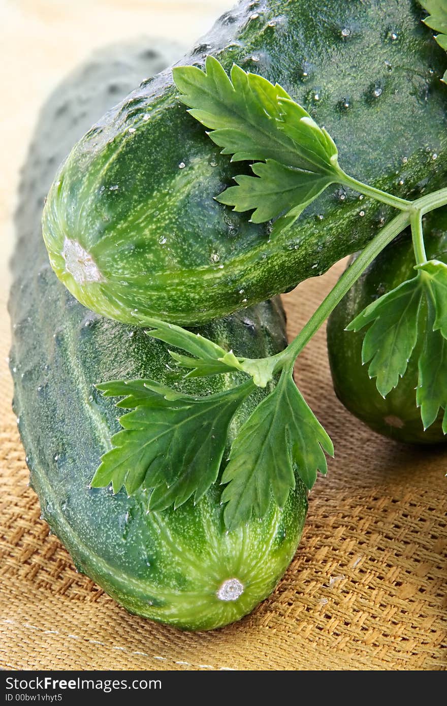 Ripe green cucumbers