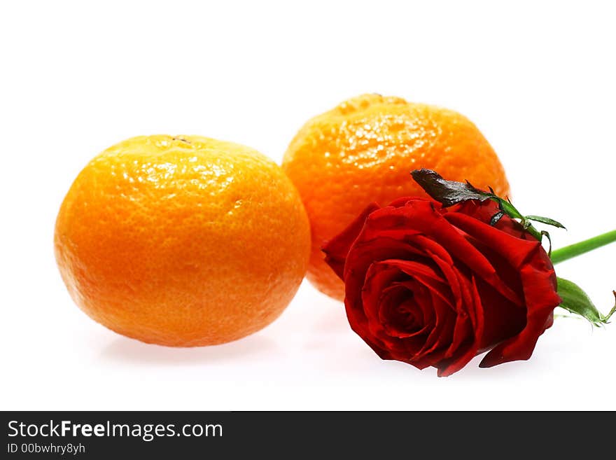 Rose and mandarines