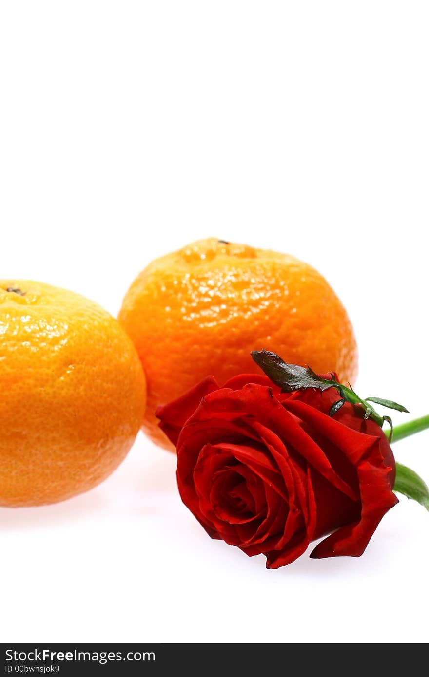 Rose And Mandarines