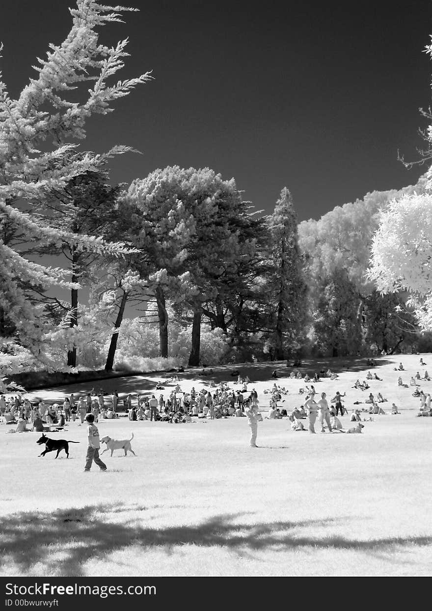 People hanging out in the city park infrared black and white. People hanging out in the city park infrared black and white.