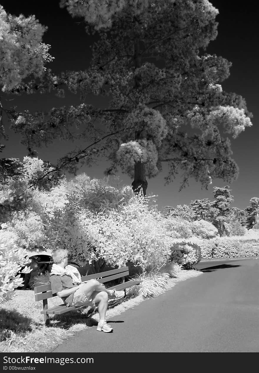 Infrared Park Scene