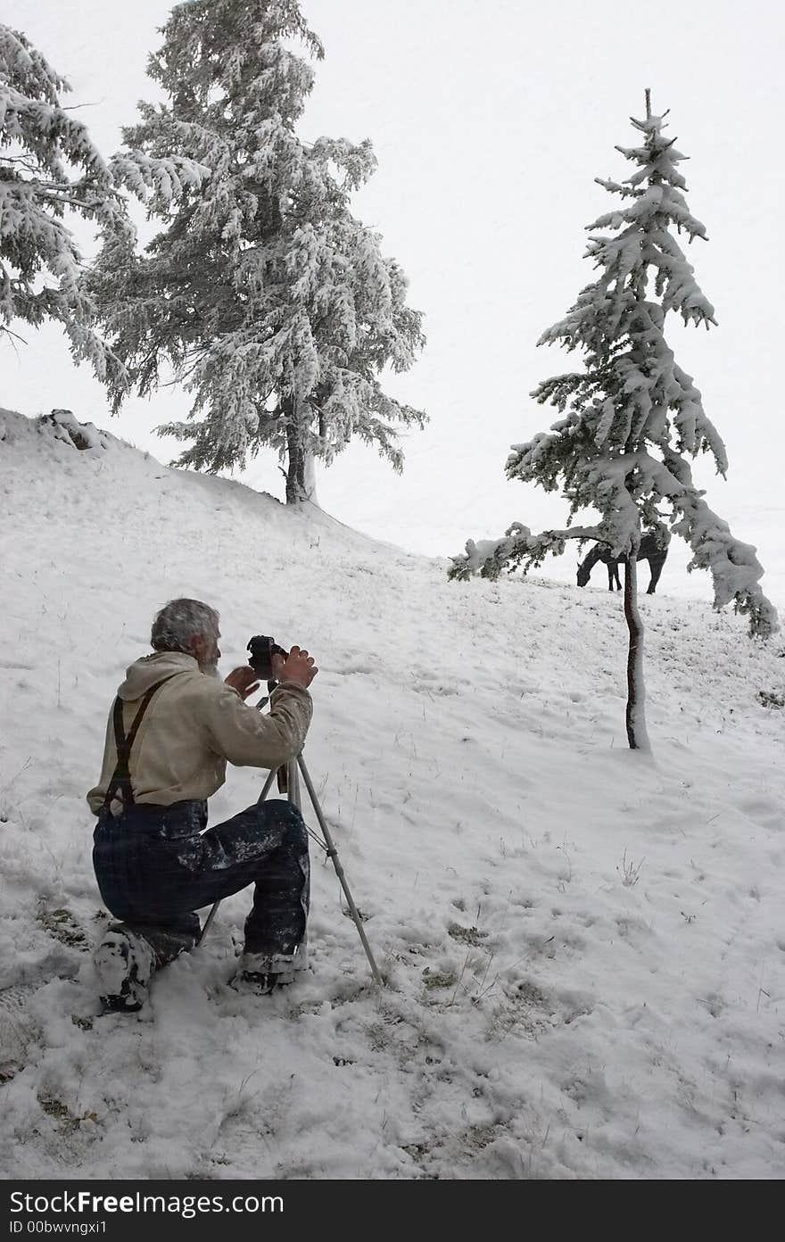 White wood, men, horse and snow.