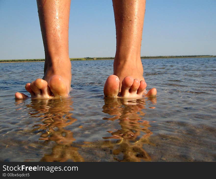 Two legs in a estuary of Azov Sea (Ukraine). Two legs in a estuary of Azov Sea (Ukraine)