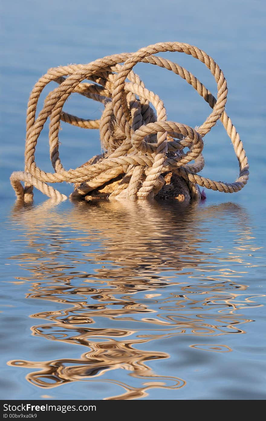 A rope on a stone in the sea