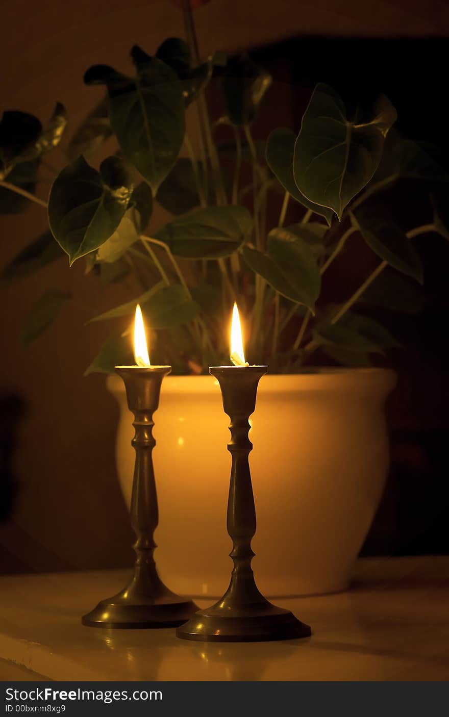 Late night candles (in front of indoor flowers)