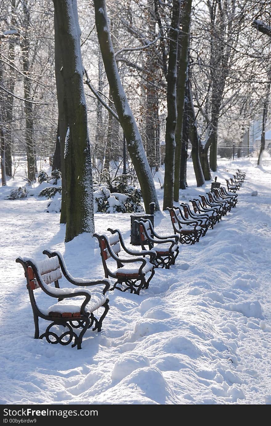 Park alley in winter with row of red benches