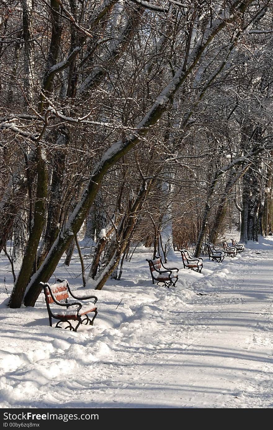 Park alley in winter with row of red benches