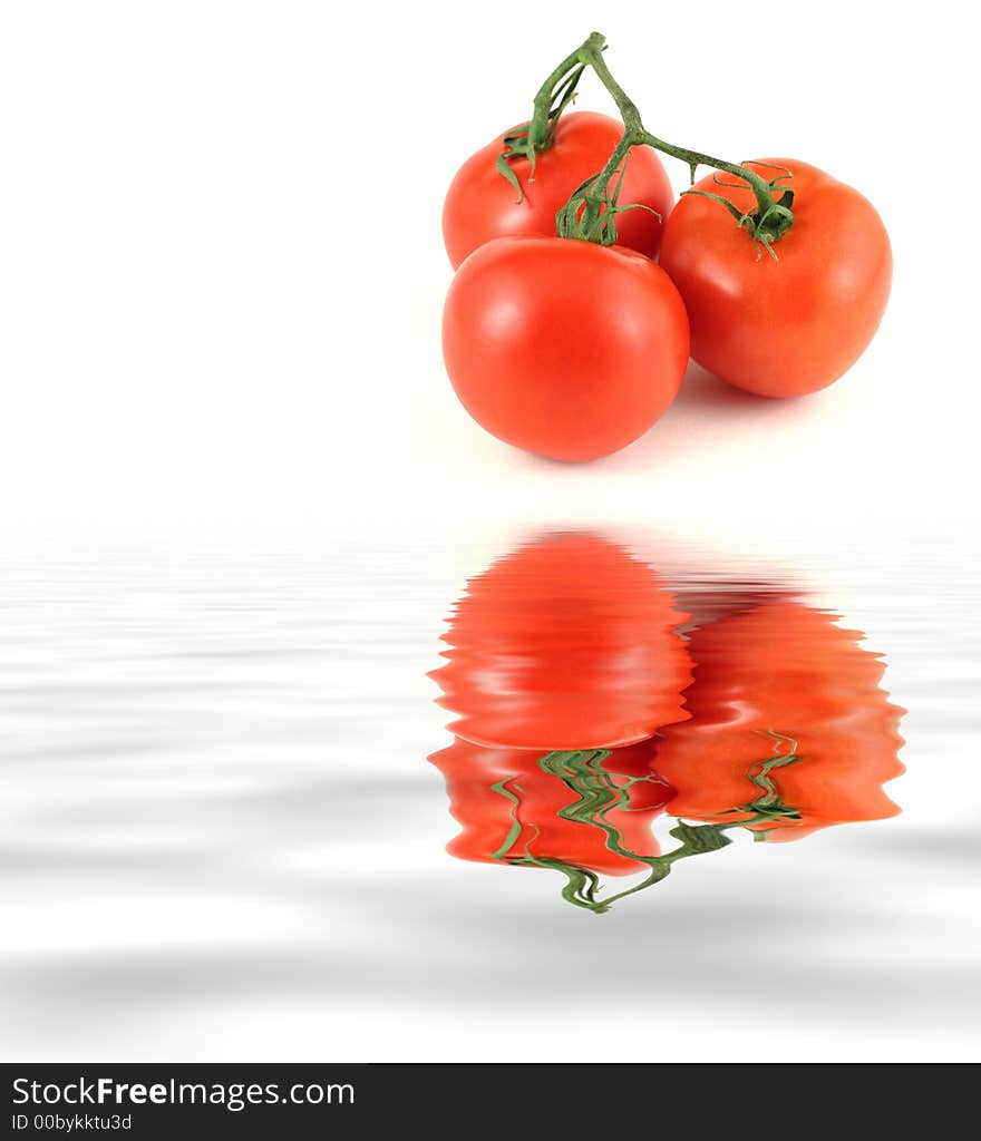 Tomatoes on a vine isolated on white