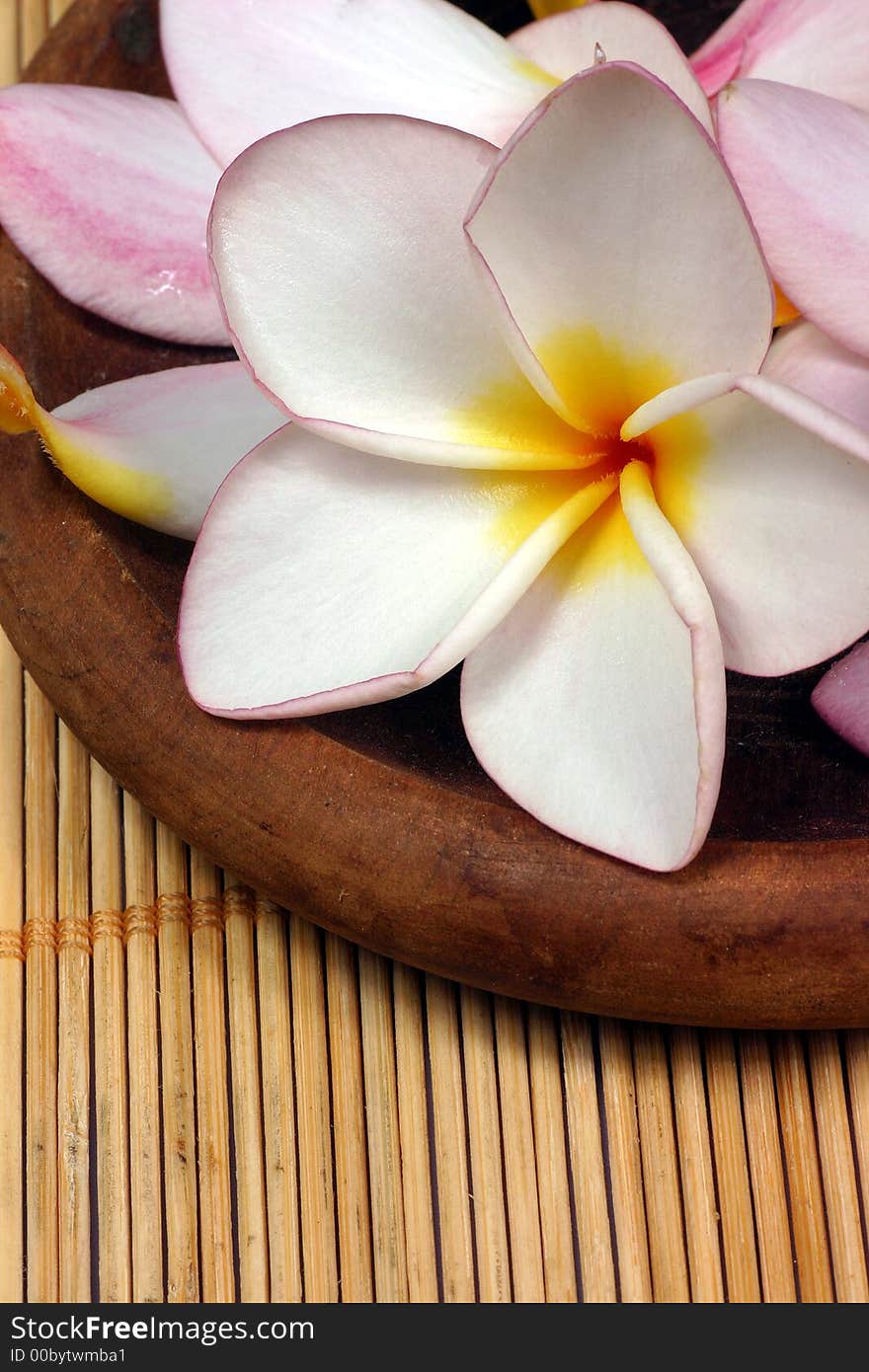 Frangipane flowers on a wooden dish on the rattan background. Frangipane flowers on a wooden dish on the rattan background