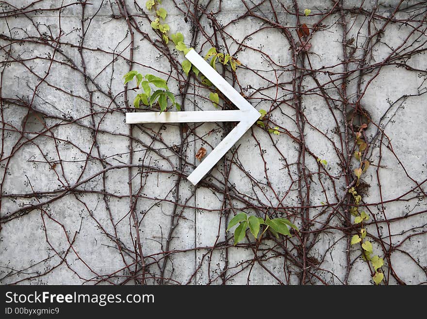 An arrow sign pointing to the right sign among vines on a wall. An arrow sign pointing to the right sign among vines on a wall