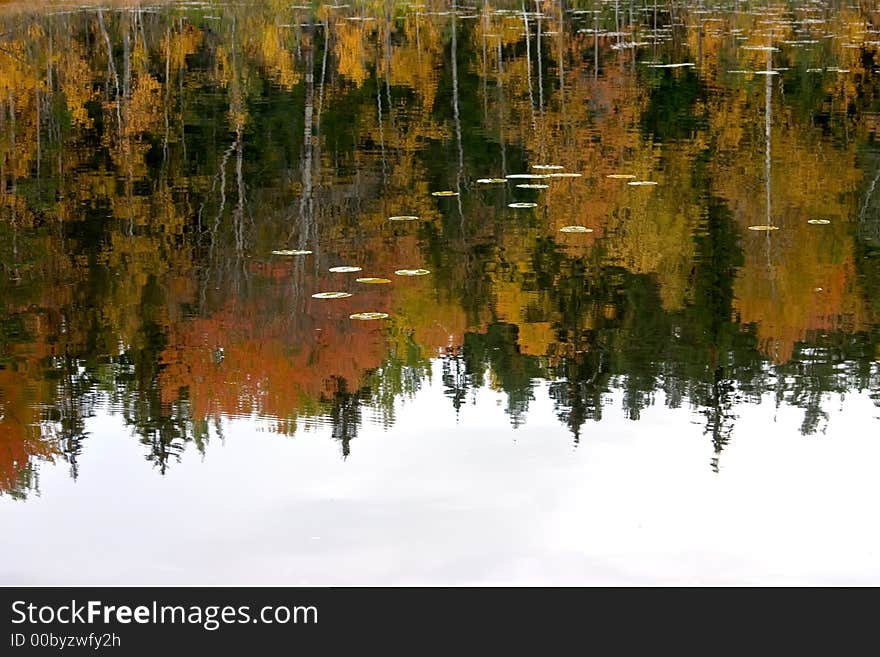 Reflection of a wood in lake in a autumn day. Reflection of a wood in lake in a autumn day