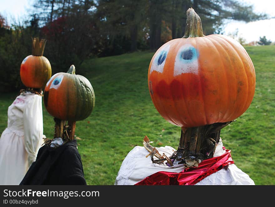 Pumpkin people