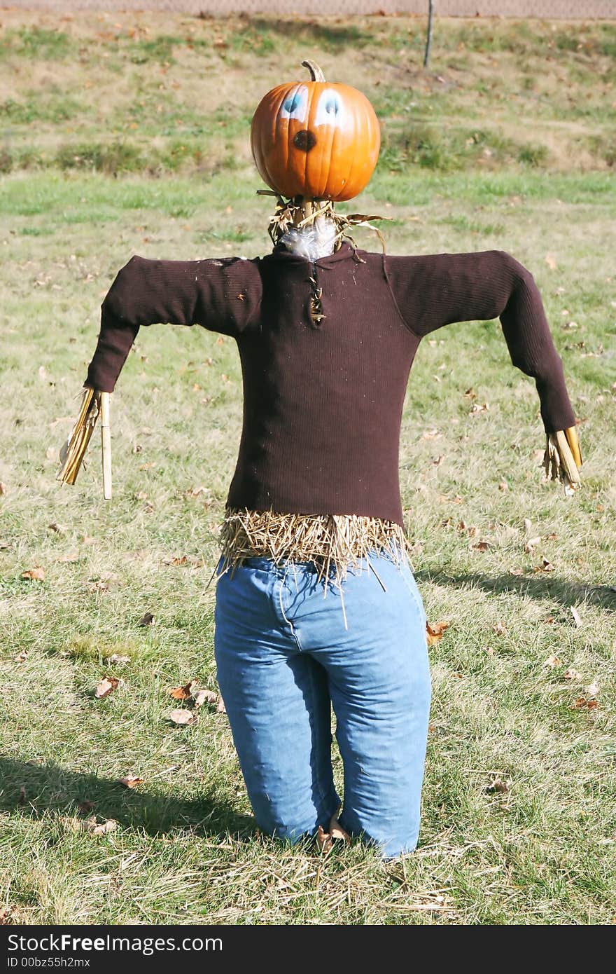 Pumpkin Person