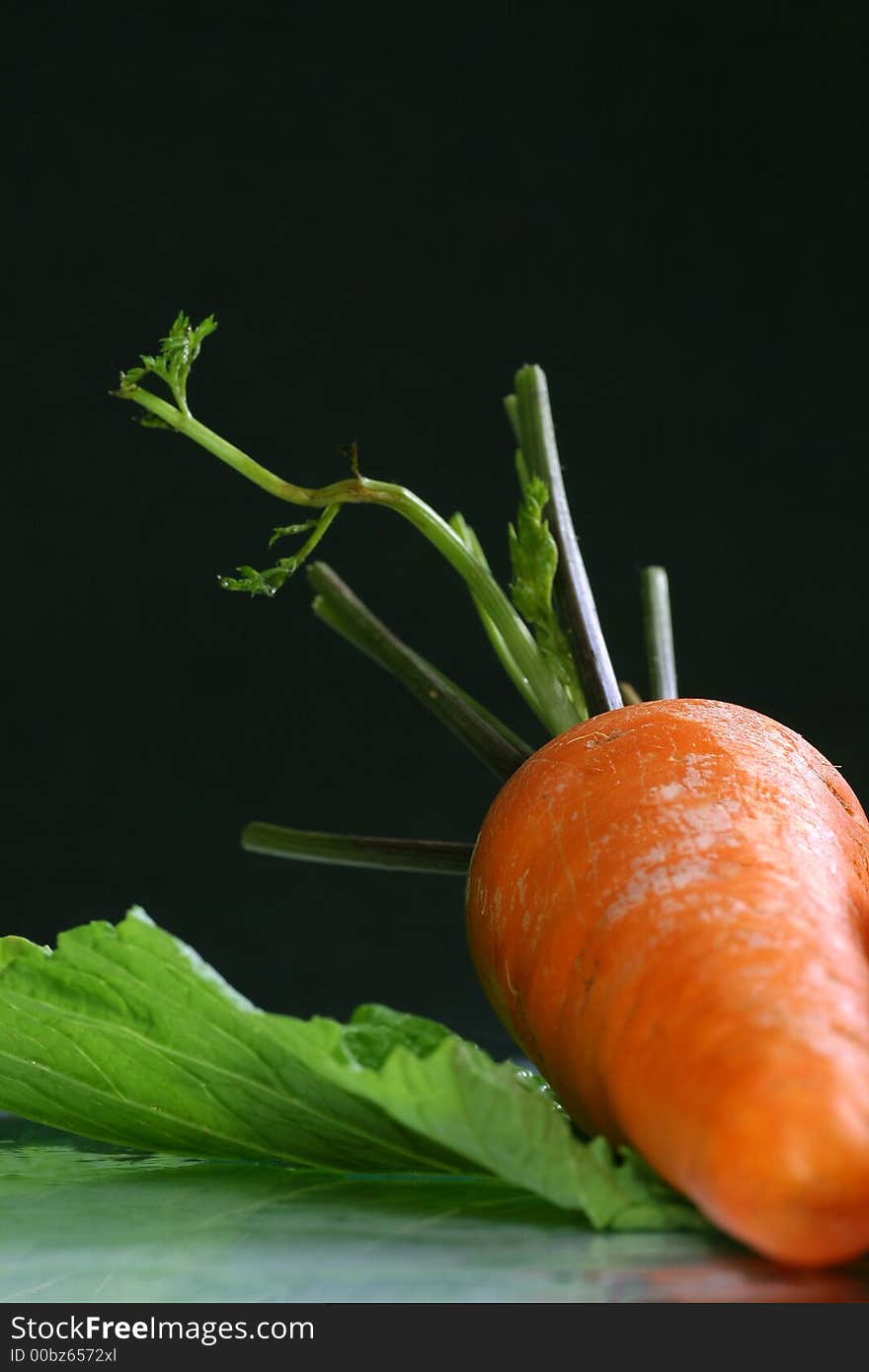 Fresh carrot on the colza background