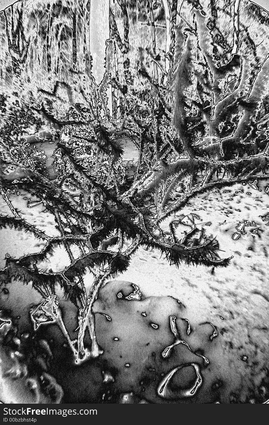 Tree covered in ice shaded in black