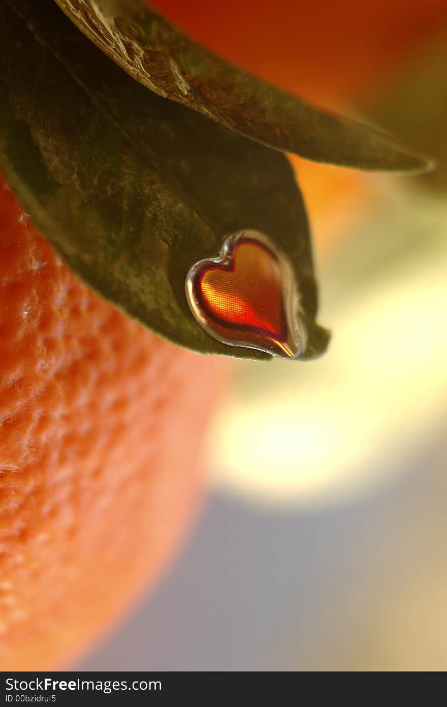 Bright heart on orange leaf