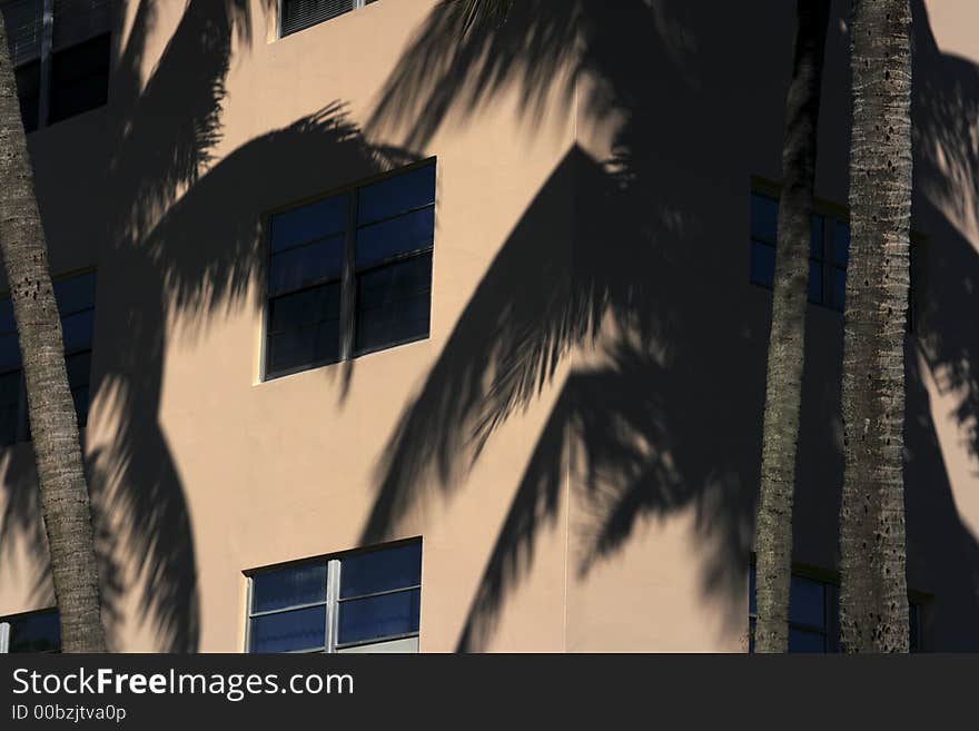 Building with Palm Trees