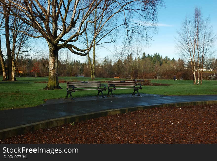 Bench in park, a winter morning in mill lake