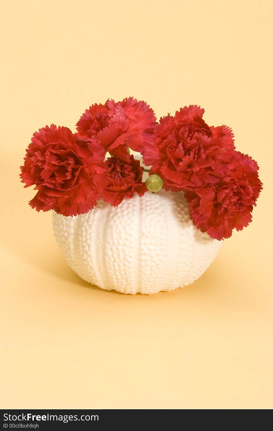 Red Carnations in a white Vase against a yellow background.