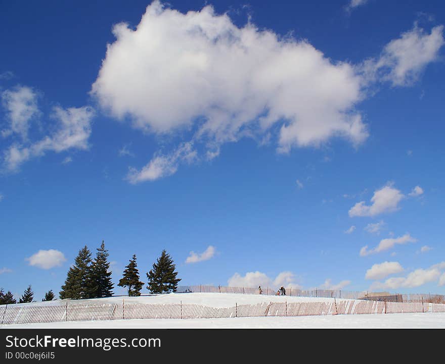 Photo of clouds and trees on winter time. Photo of clouds and trees on winter time