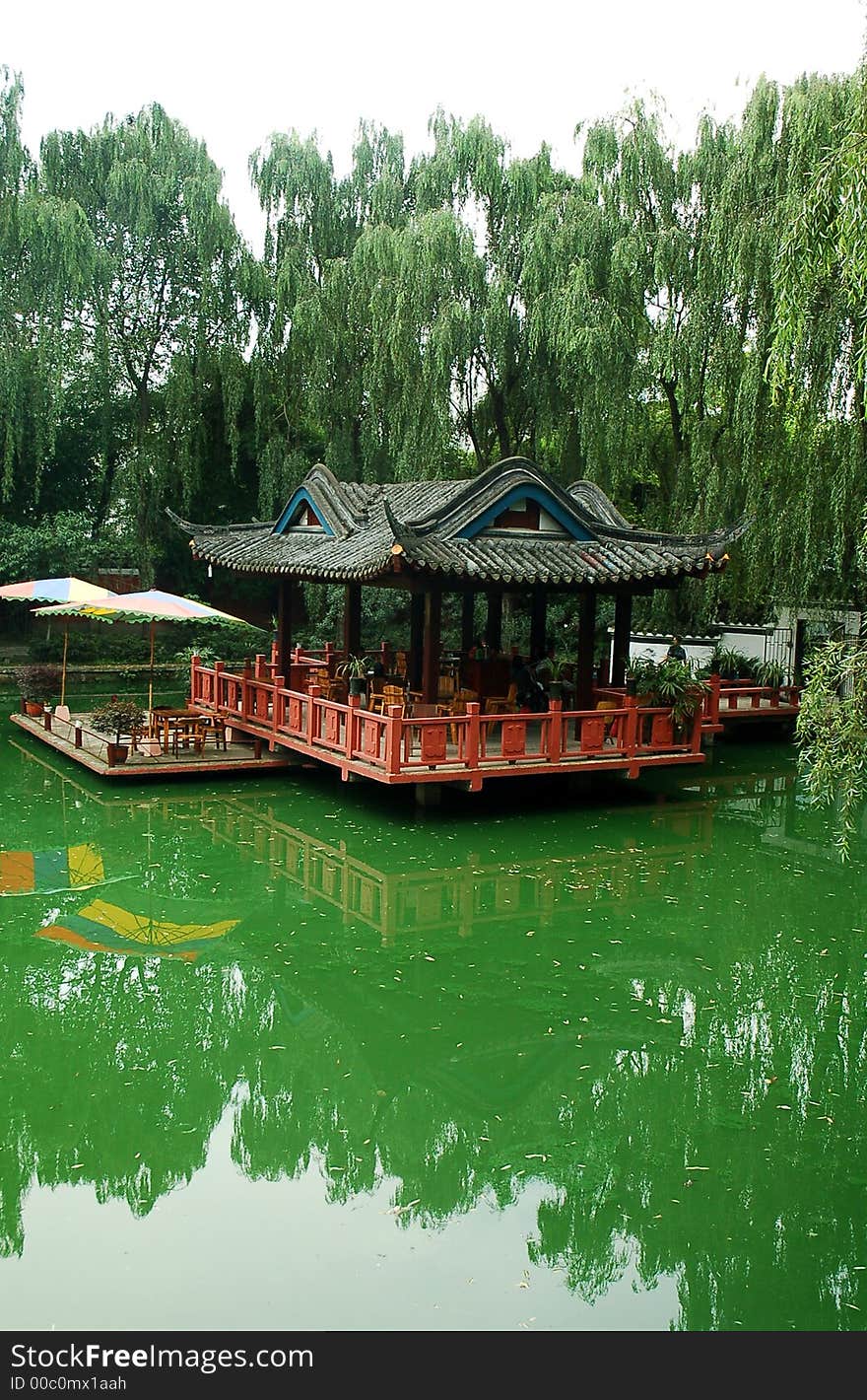 A Chinese garden in summer inChengdu,capital of Sichuan