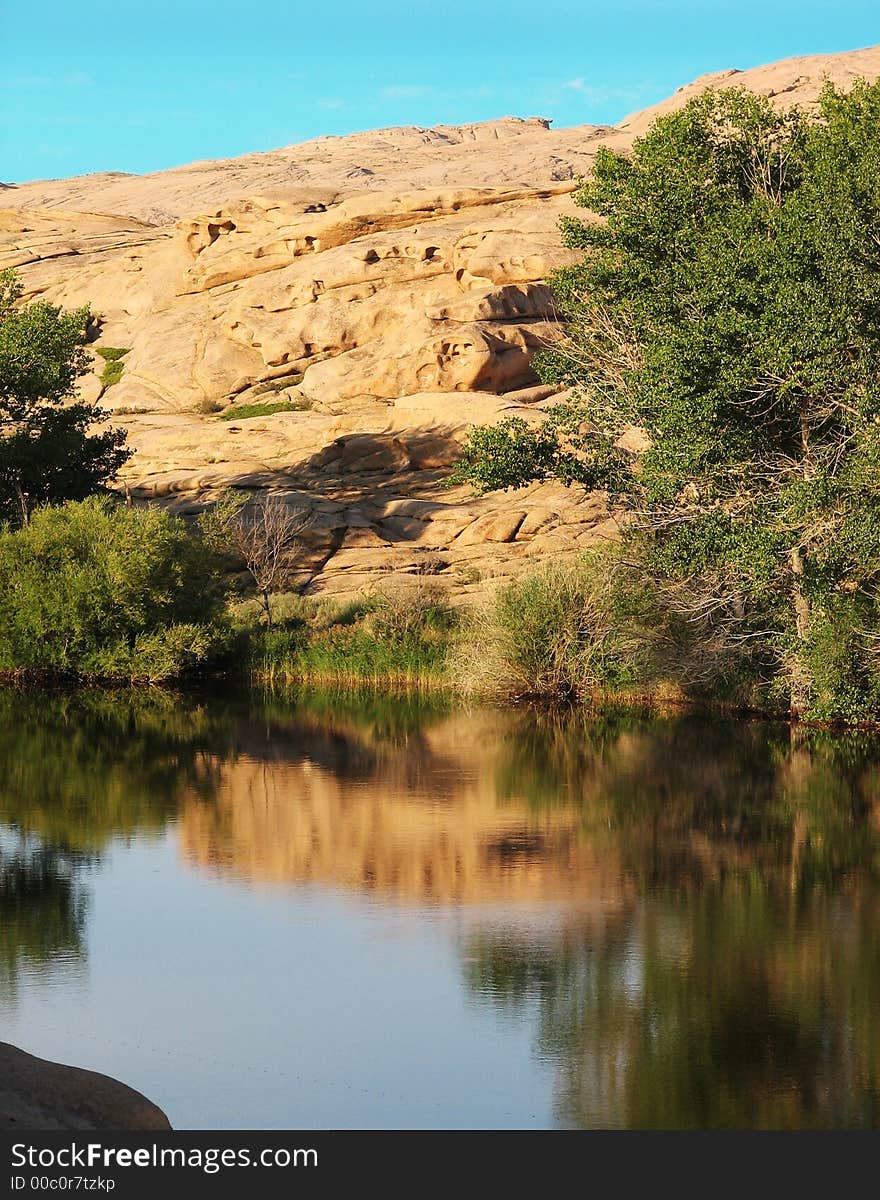 Beautiful mountain lake with trees