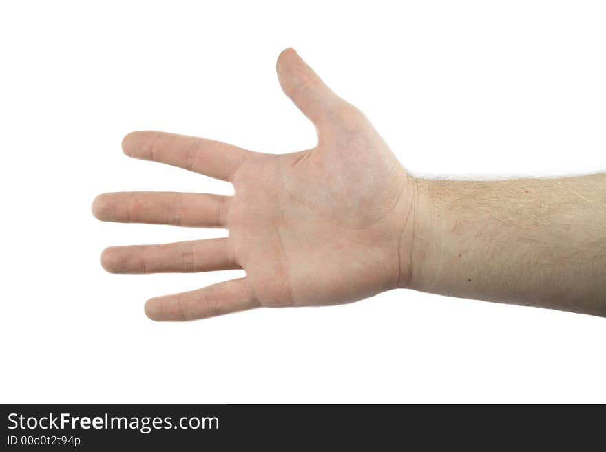 Hand isolated on the white background. 3 tungsten lamps x 300 Watt used for lighting. Hand isolated on the white background. 3 tungsten lamps x 300 Watt used for lighting