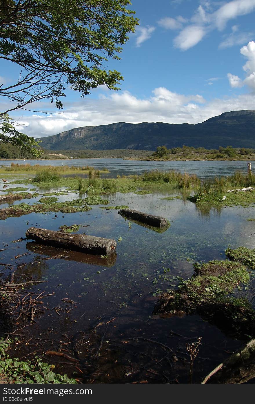 Holiday landscape surrounded by mountains, trees, river and reed.