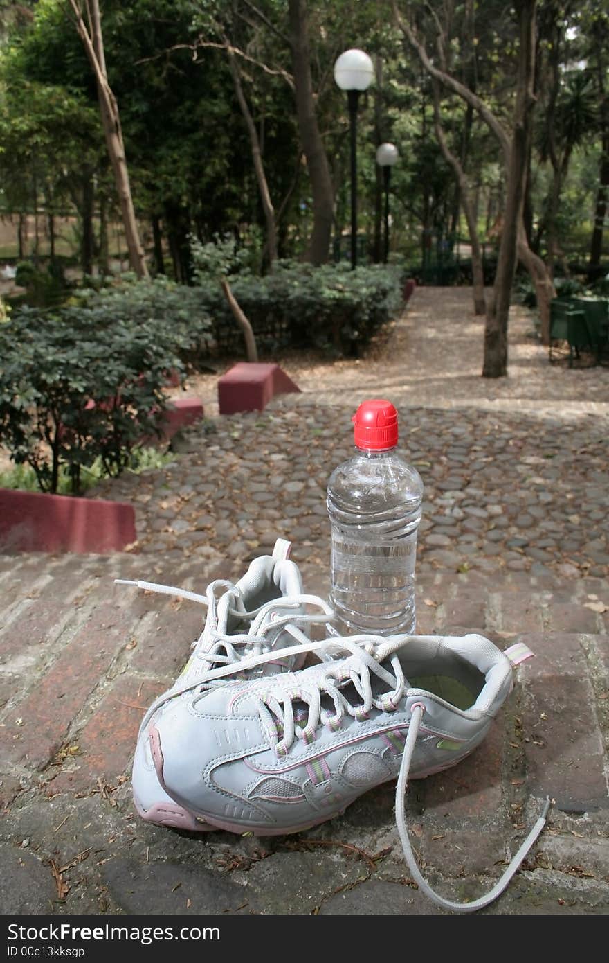 Sneakers And A Bottle Of Water