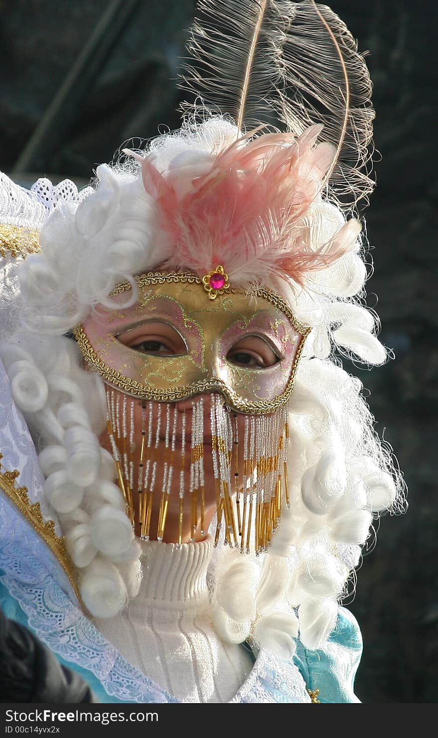 Mask of Carnival of Venice