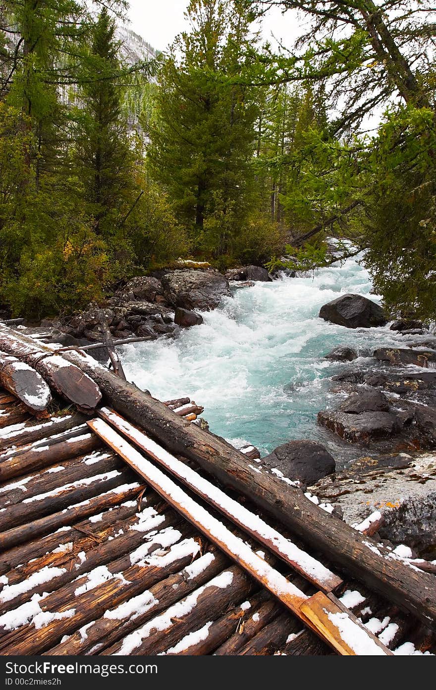 River, bridge and woods. Altay. Russia.