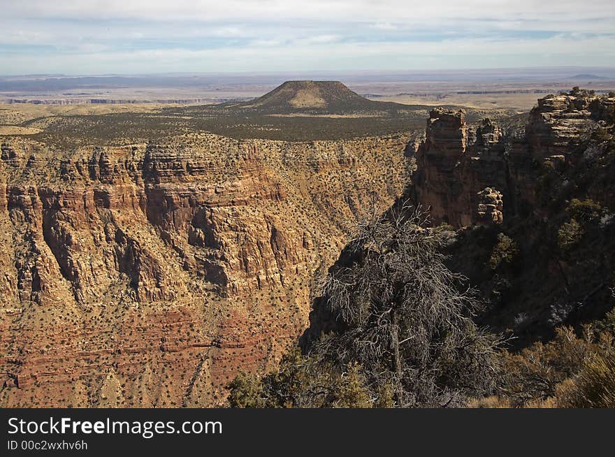 Grand Canyon View