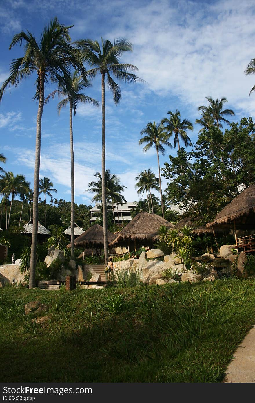 Tropical Resort