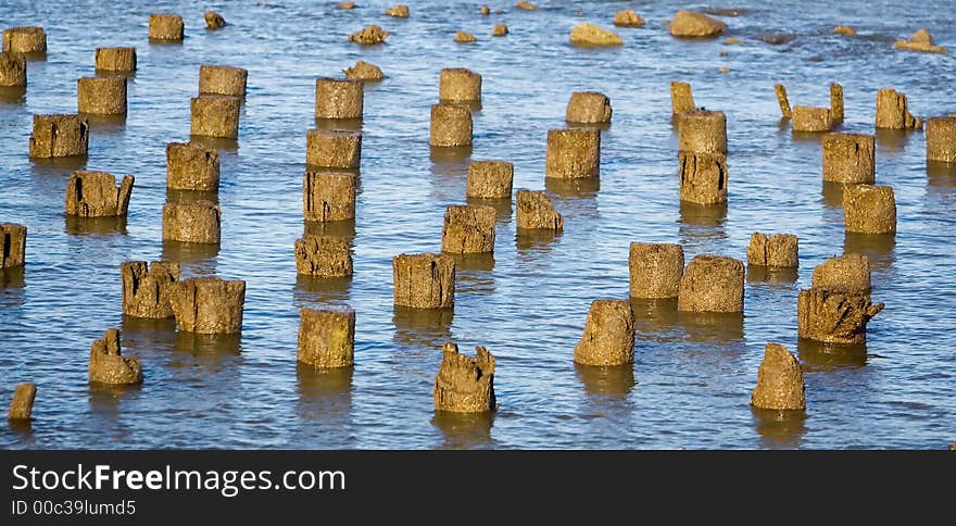 Old piling stumps off the shore in New York Harbor. Old piling stumps off the shore in New York Harbor