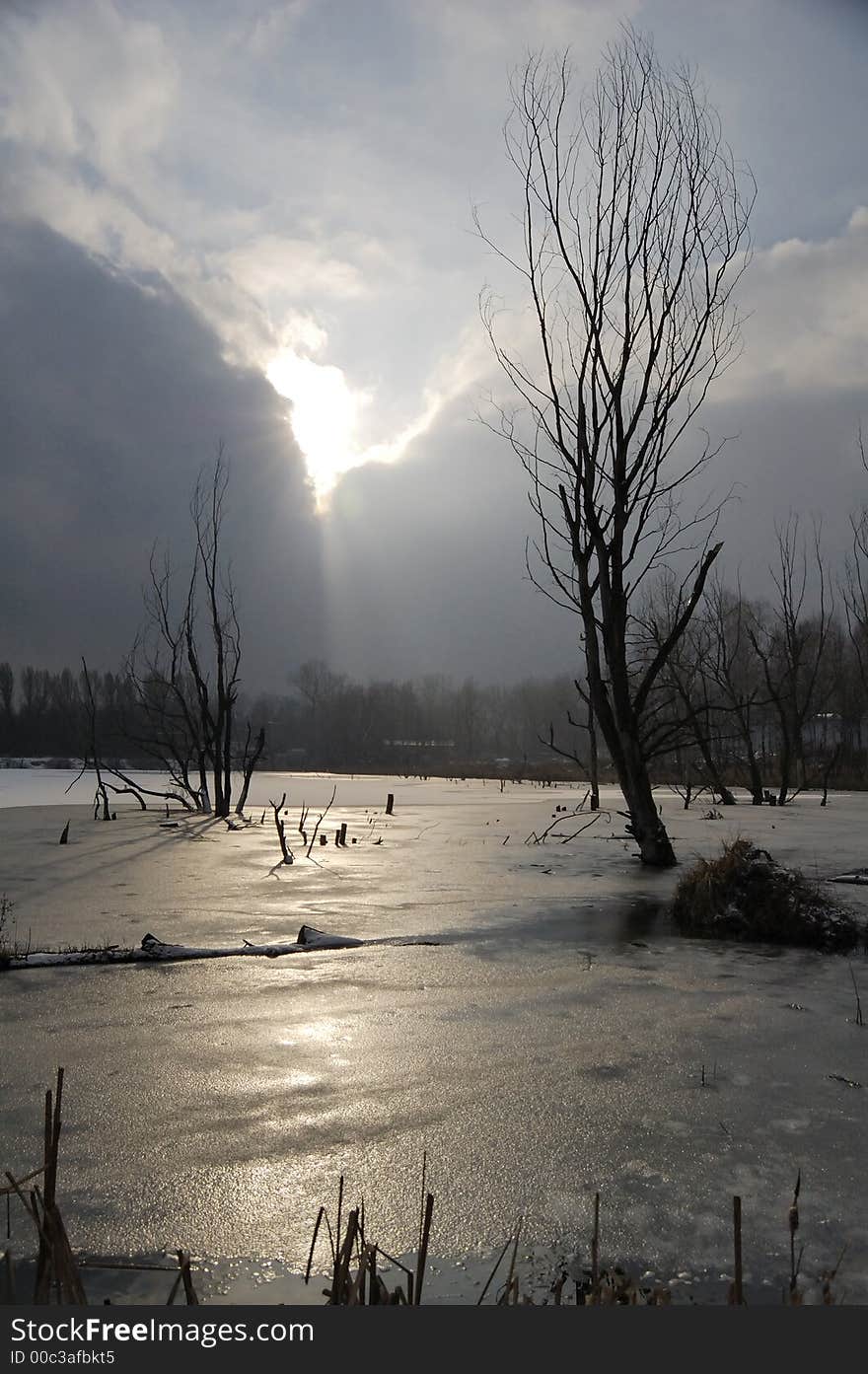 The sunrays over a frozen pond (winter)