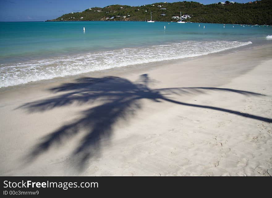 Shadow of a palm on a white caribbean beach. Shadow of a palm on a white caribbean beach