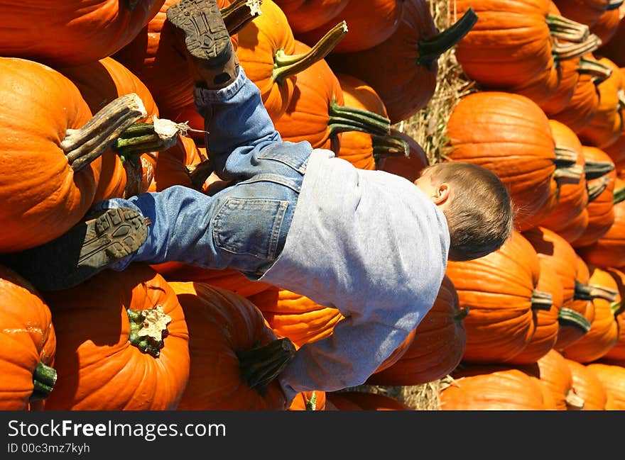 A little boy climbing over pumpkins. A little boy climbing over pumpkins