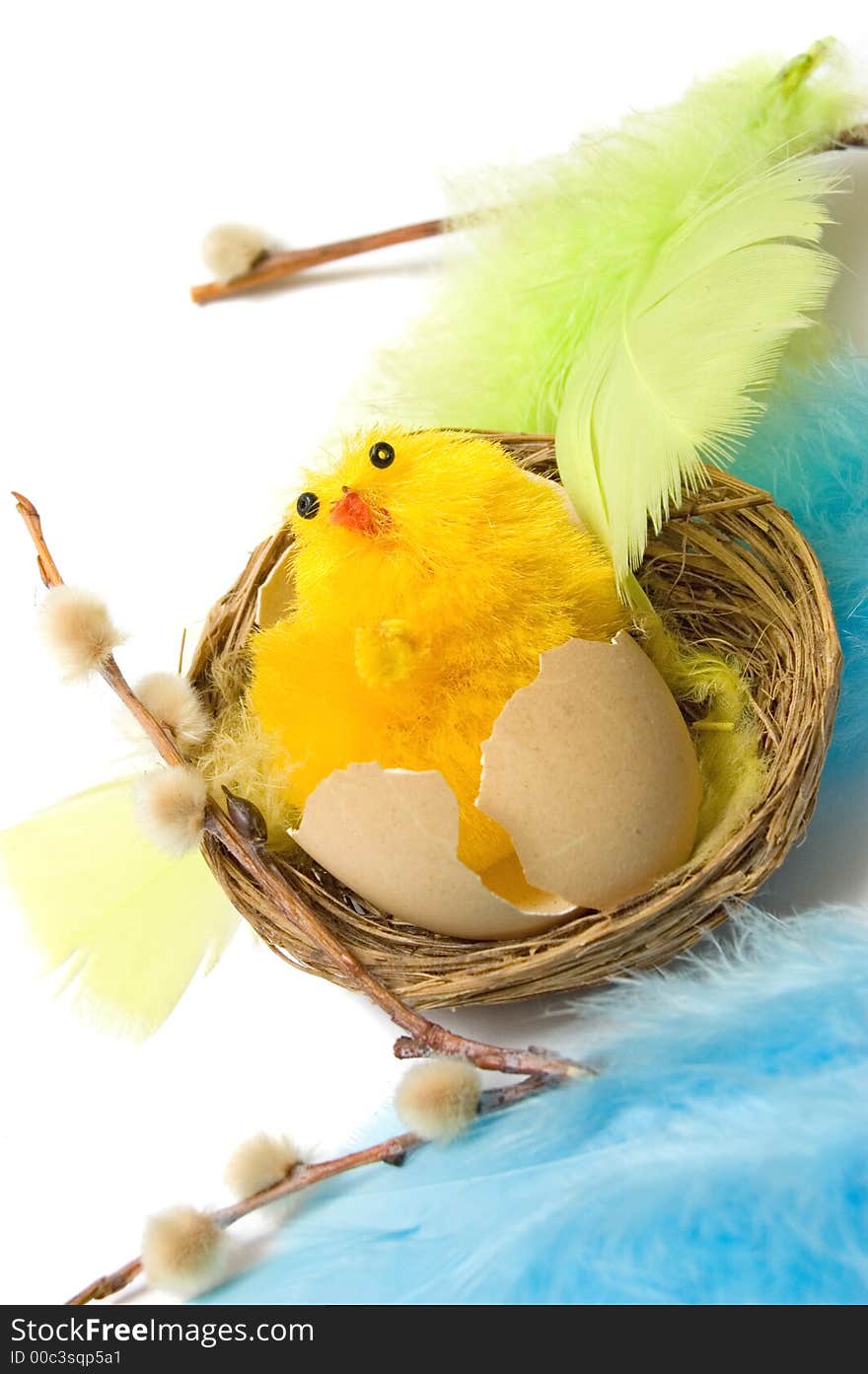 Picture of a small cute chicken for Easter. Picture of a small cute chicken for Easter