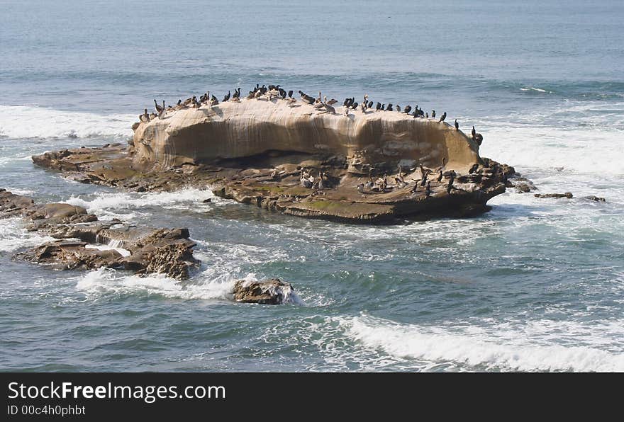 Birdrock Point