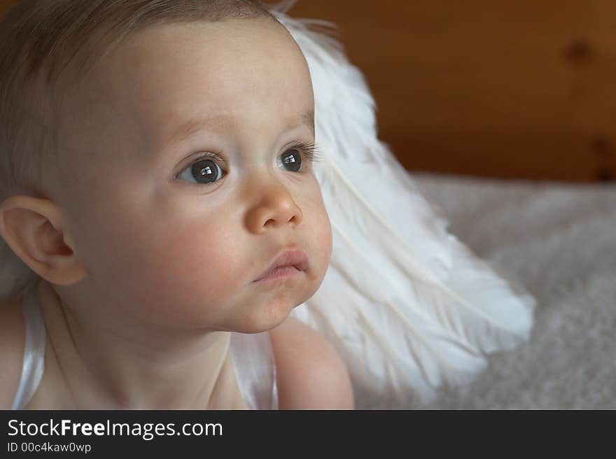 Image of baby wearing angel wings. Image of baby wearing angel wings