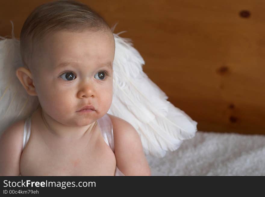 Image of baby wearing angel wings. Image of baby wearing angel wings