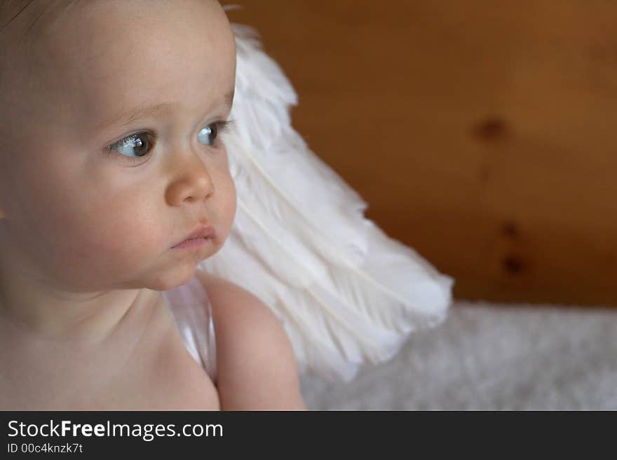 Image of baby wearing angel wings. Image of baby wearing angel wings