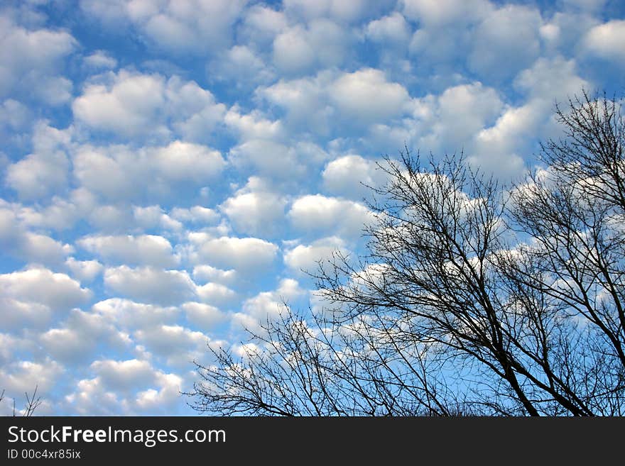 Blue sky full of white puffy white clouds in a pattern with tree border. Blue sky full of white puffy white clouds in a pattern with tree border