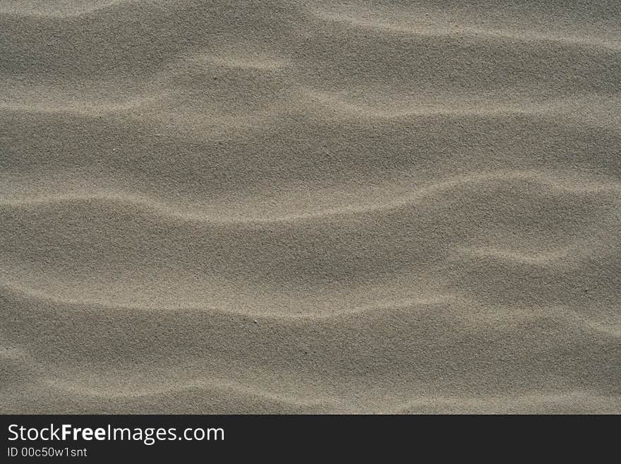 Texture of the sand dunes for cover. Texture of the sand dunes for cover