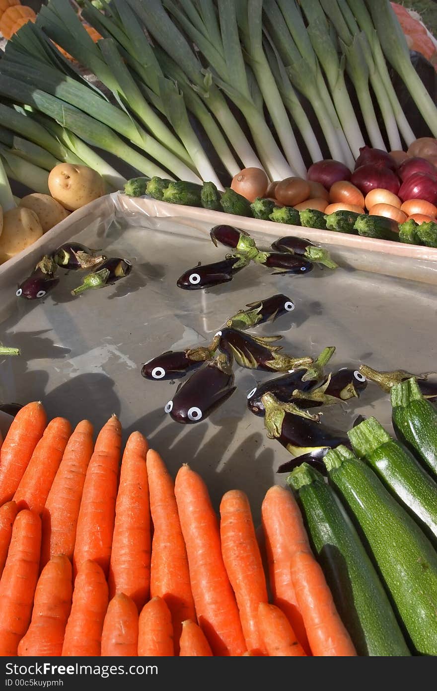 Eggplants float in a small aquarium at autumn fair in Annecy. Eggplants float in a small aquarium at autumn fair in Annecy